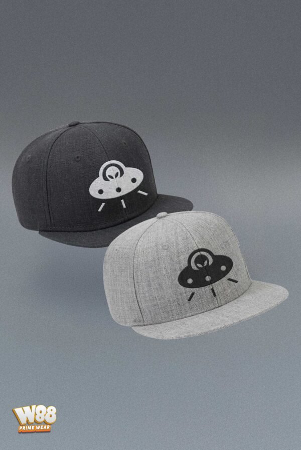 Cosmic Visitor - Cap