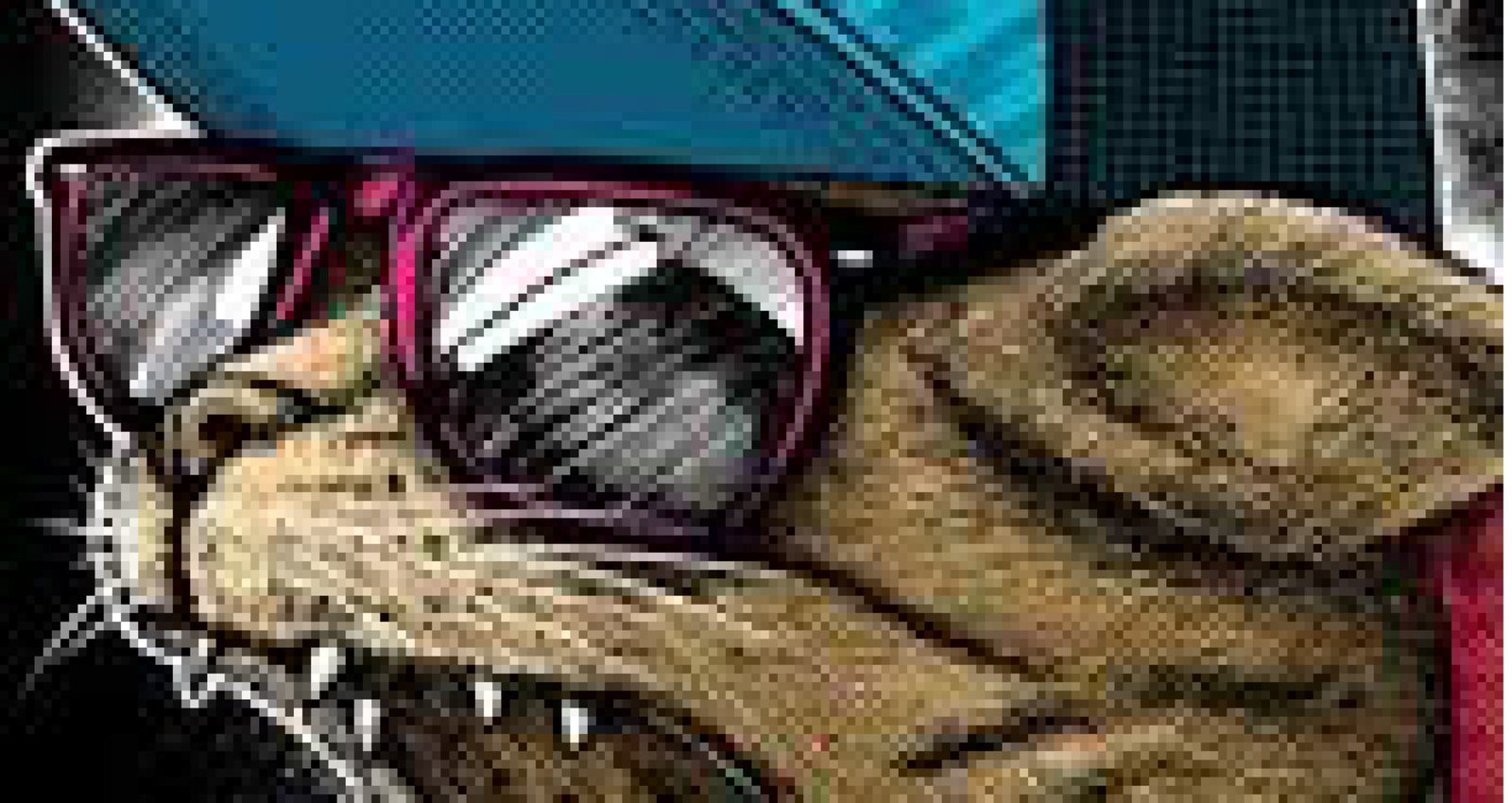 Screen Printing 30 Before Cat with Headphone scaled